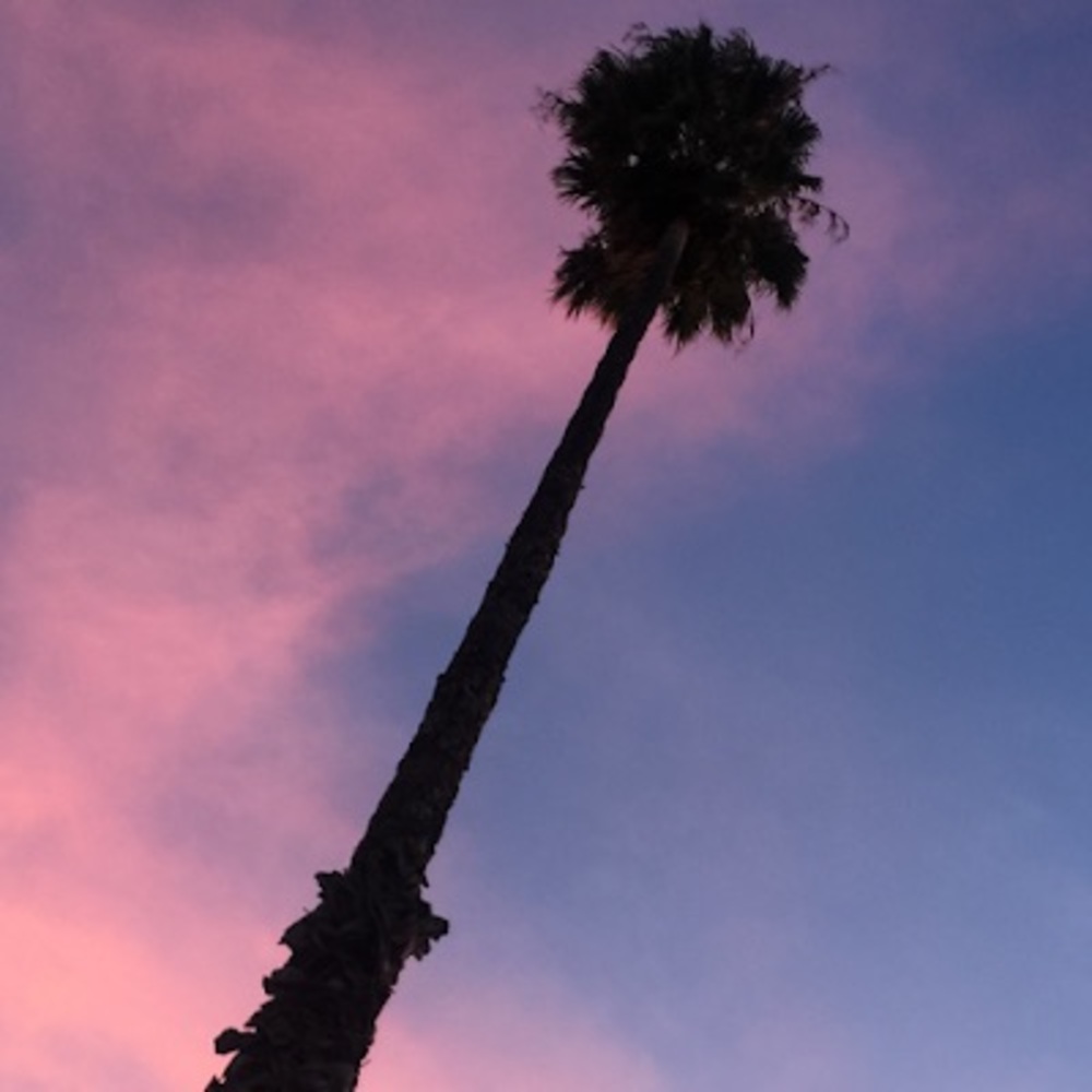 Meet your Posher, Alyssa marie